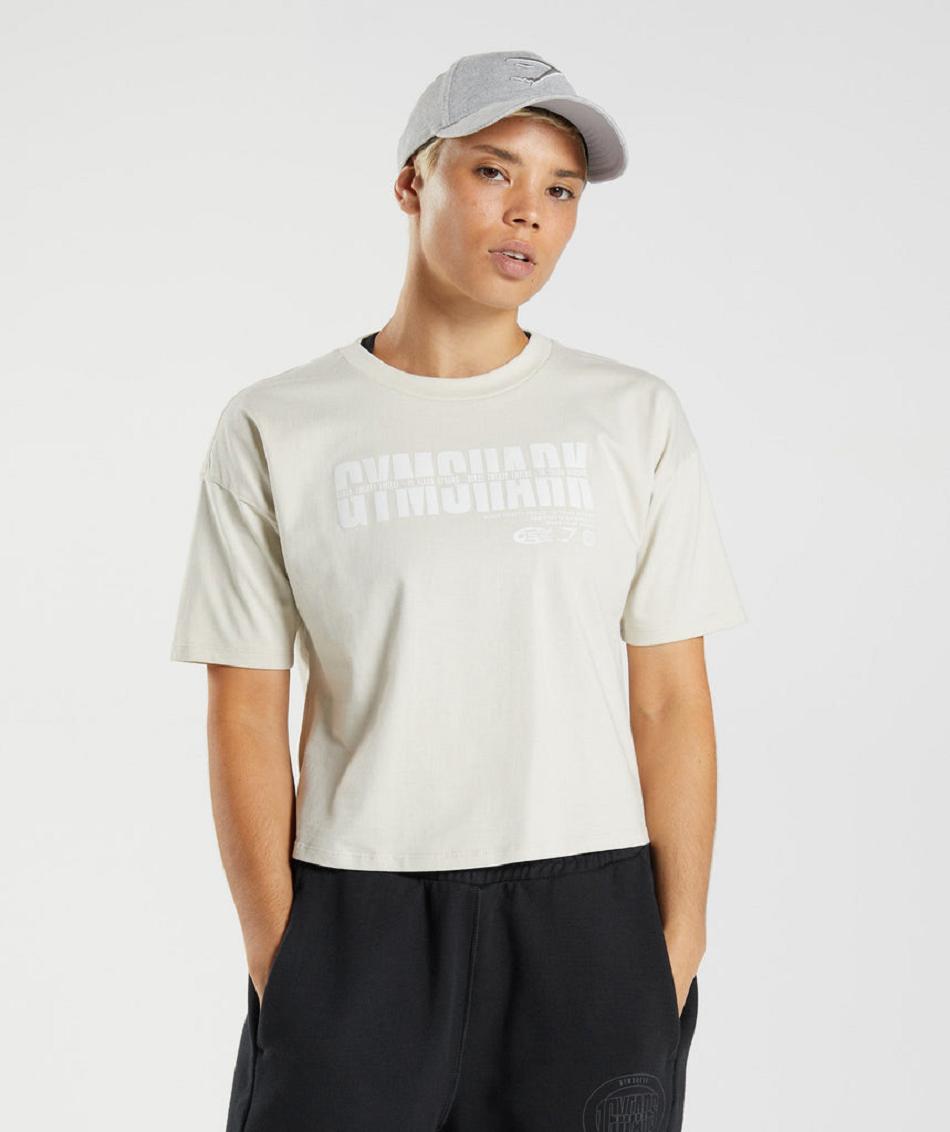 Przycięte Topy Damskie Gymshark Gs10 Year Midi Szare | PL 2624SGL